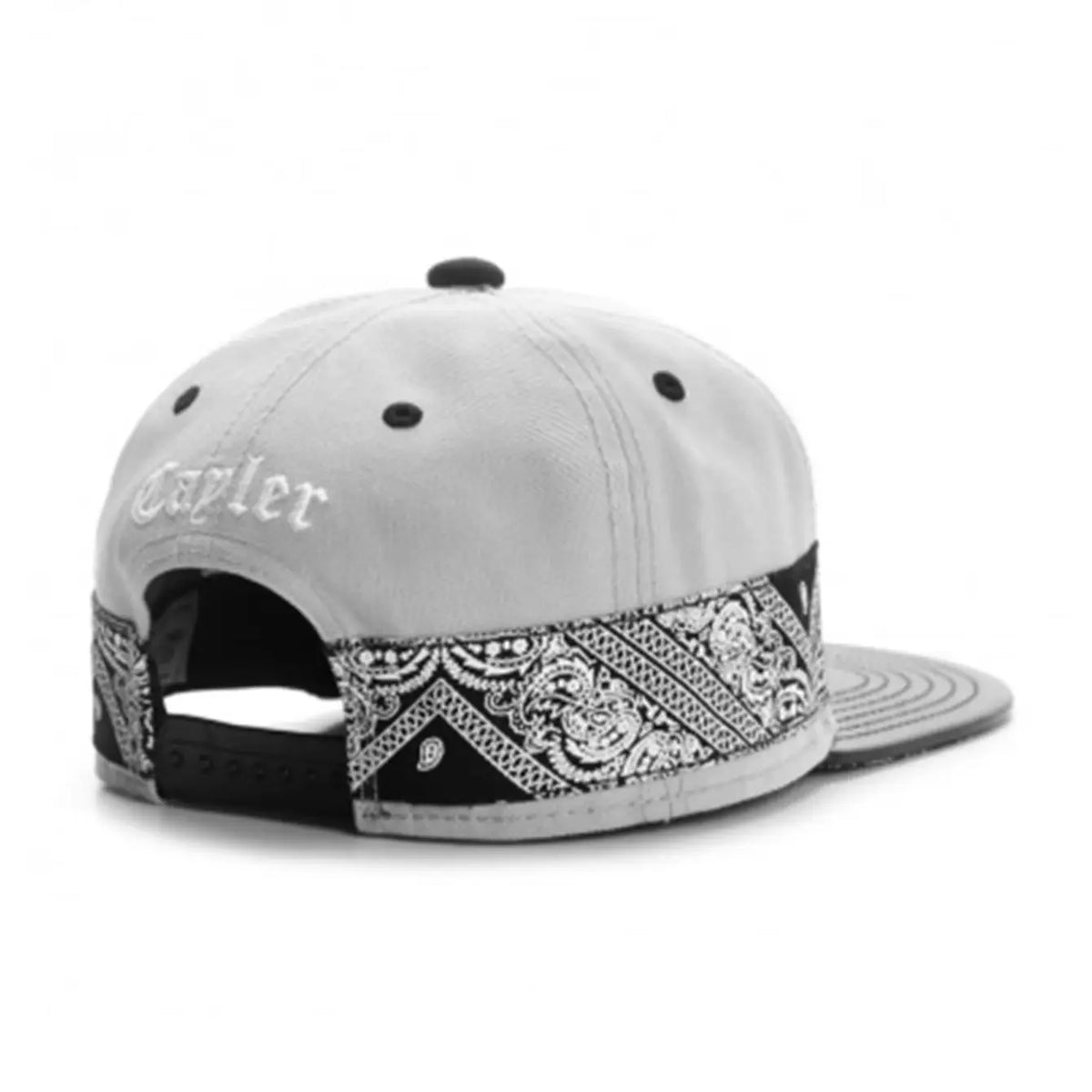 SWANS Paisley Snapback Hat – Unisex Hip Hop Baseball Cap Snapback Baseball Cap SWANS