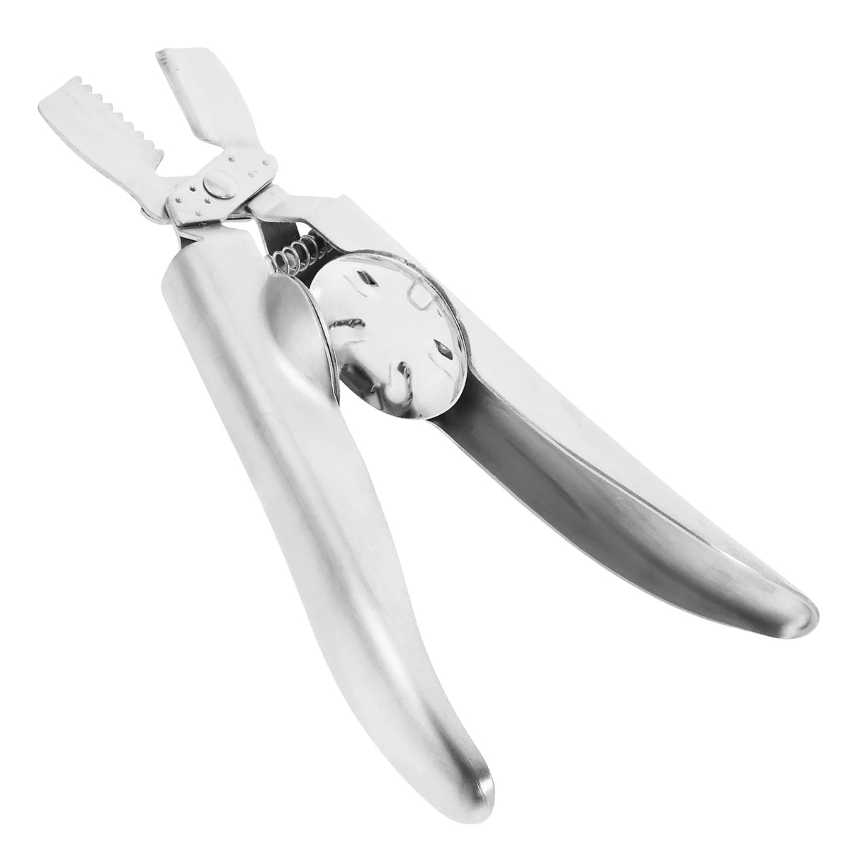 304 Stainless Steel Chestnut Opener & Nut Cracker Plier Tool Nut & Seafood Cracker SWANS Default Title