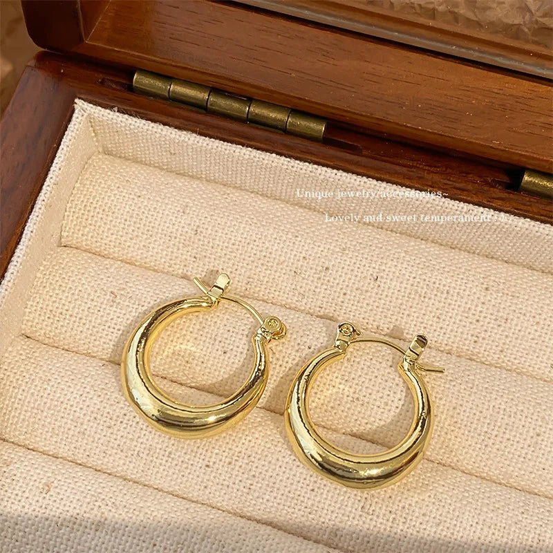 Vintage Angel Wings Stud Earrings – Punk Couple Jewelry Stud Earrings SWANS Style C