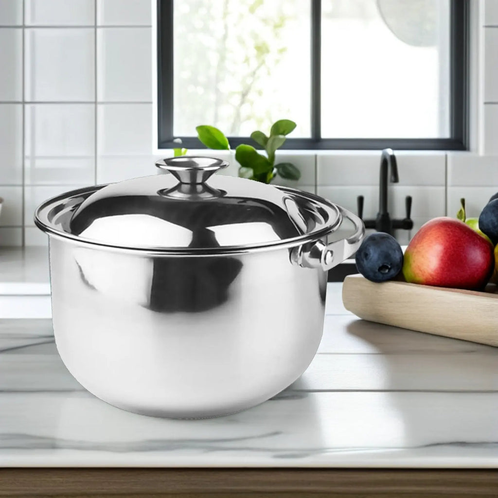 ROSENICE Stainless Steel Stockpot with Lid – 1.6L Soup Pot Stainless Steel Stockpot SWANS