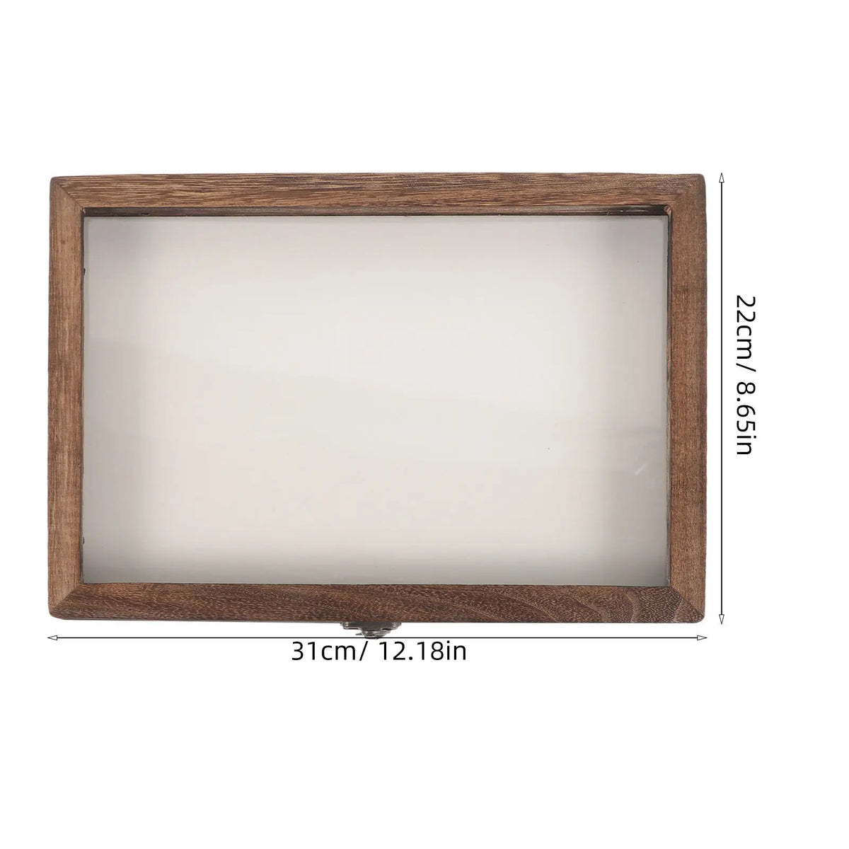 Wooden Insect Display Case – Vintage Bug Specimen Box Specimen Display Case SWANS