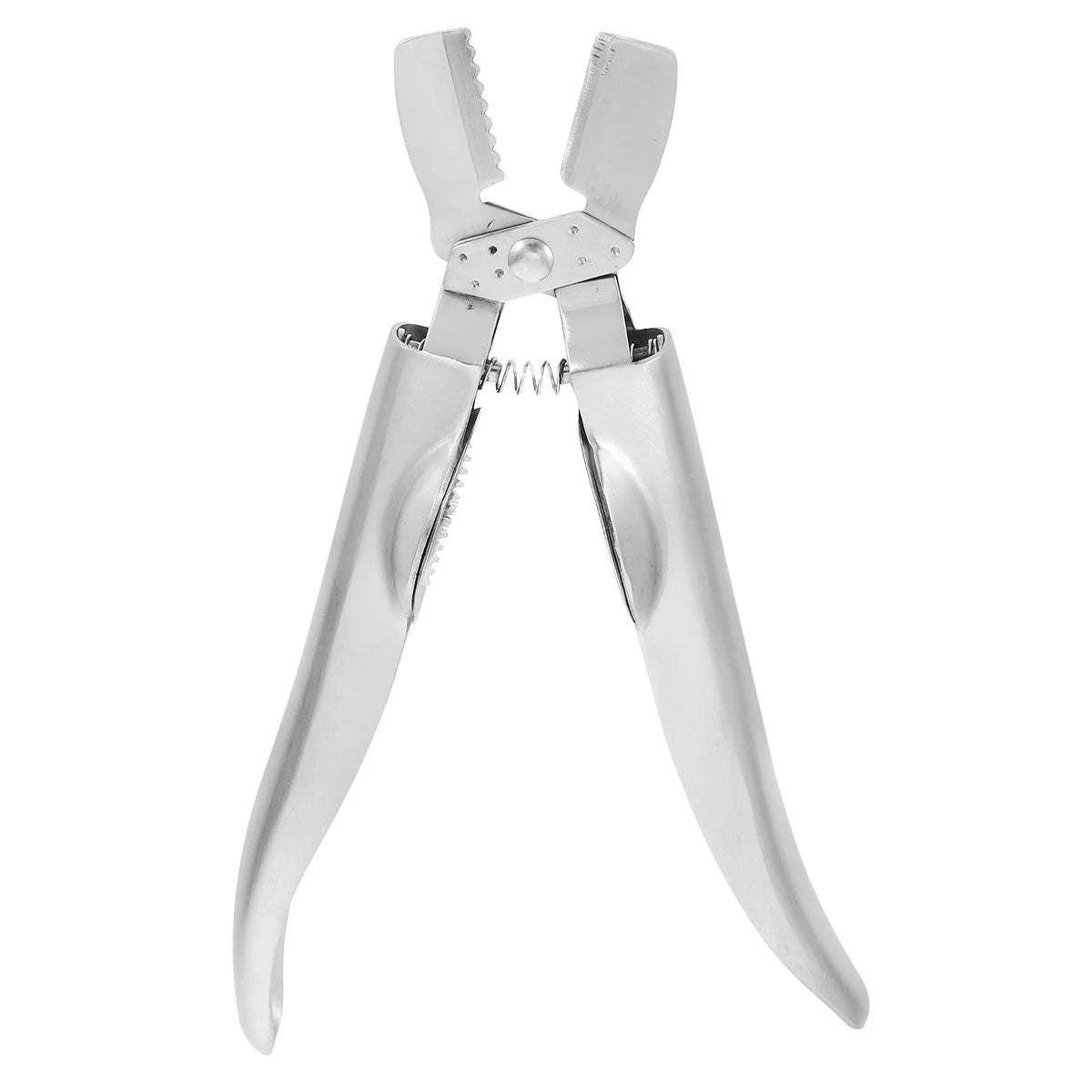 304 Stainless Steel Chestnut Opener & Nut Cracker Plier Tool Nut & Seafood Cracker SWANS