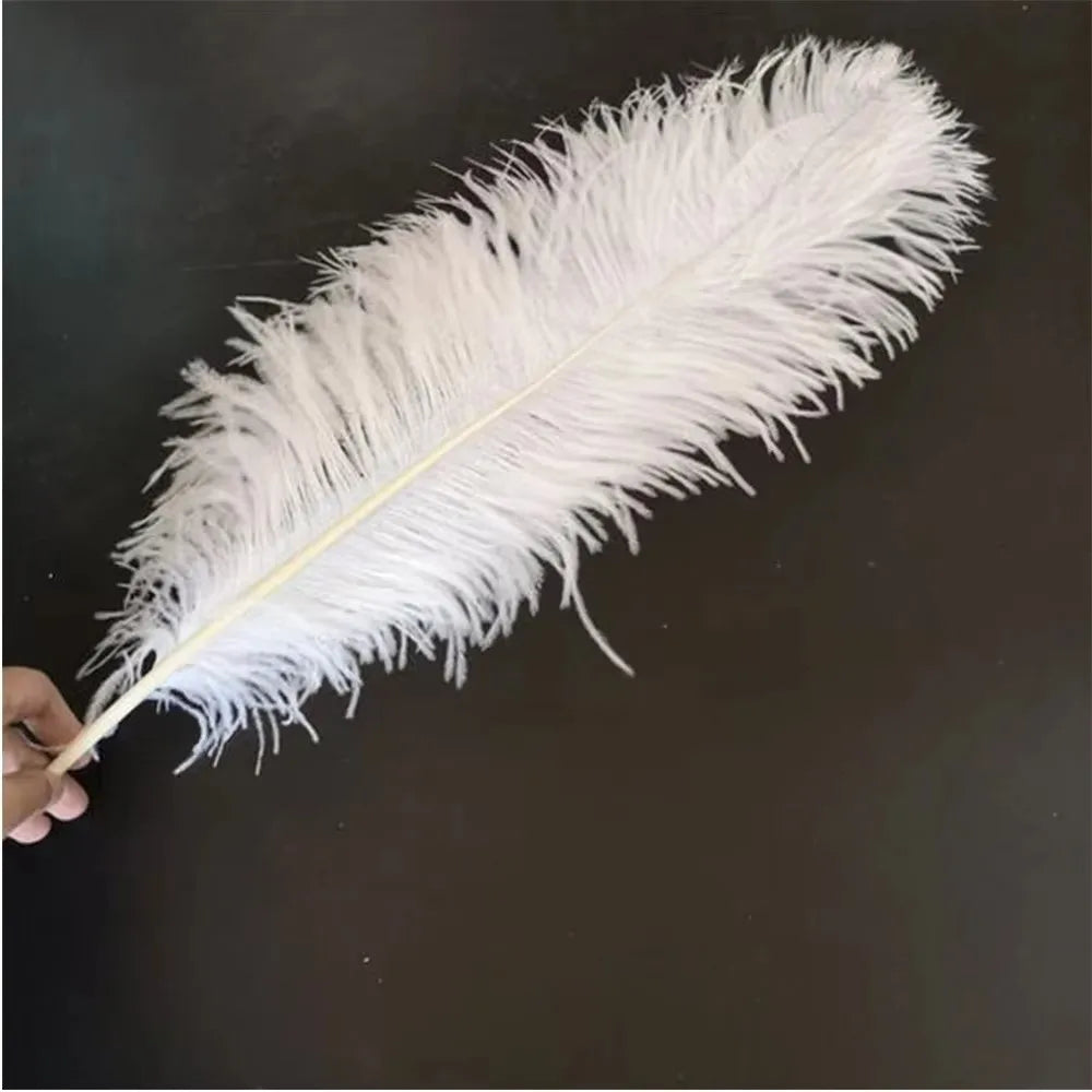 10-Pack Ostrich Feathers 15–20cm | DIY Decor, Wedding & Crafts Craft Feathers SWANS