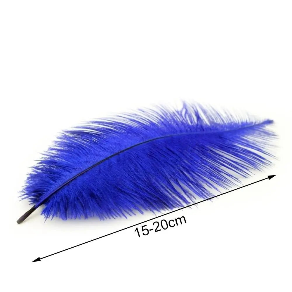 10-Pack Ostrich Feathers 15–20cm | DIY Decor, Wedding & Crafts Craft Feathers SWANS