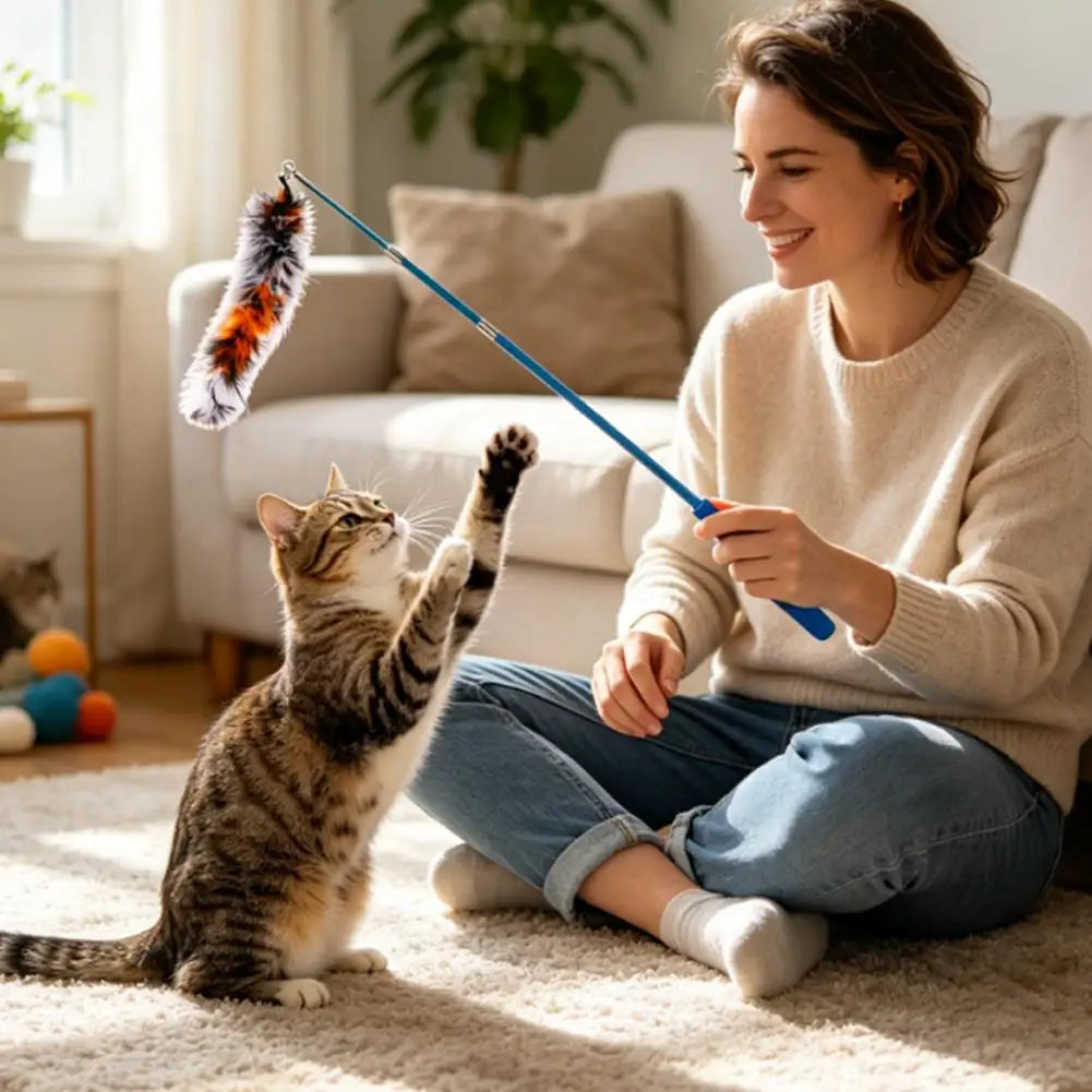 11-Piece Retractable Cat Wand Toy Set – 10 Feather Heads Cat Wand Toy Set SWANS