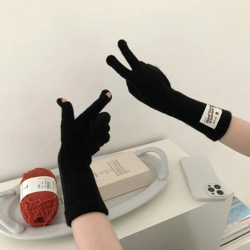 Windproof Touch Screen Knitted Gloves – Thermal Riding Gloves Winter Knitted Gloves SWANS