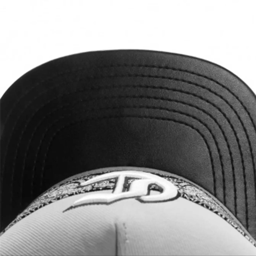 SWANS Paisley Snapback Hat – Unisex Hip Hop Baseball Cap Snapback Baseball Cap SWANS