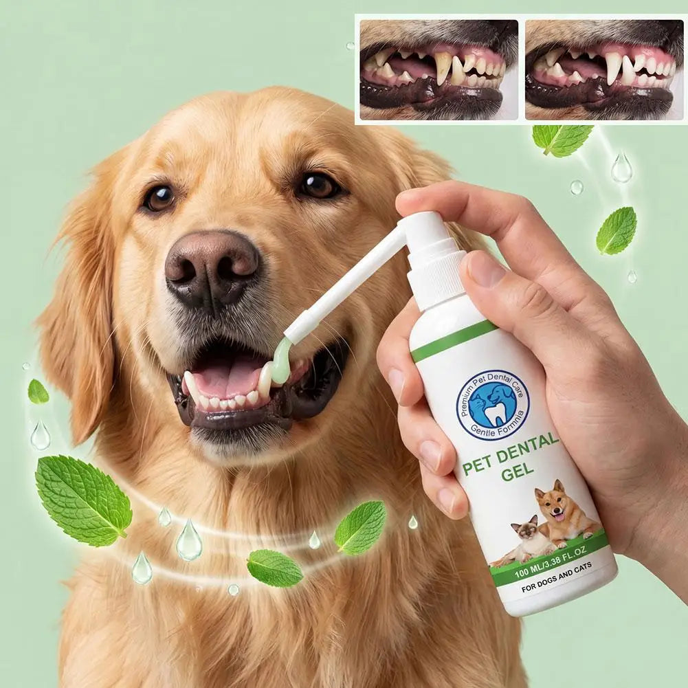 SWANS Pet Dental Gel 100ml – Plaque & Tartar Remover for Dogs & Cats Pet Dental Gel SWANS