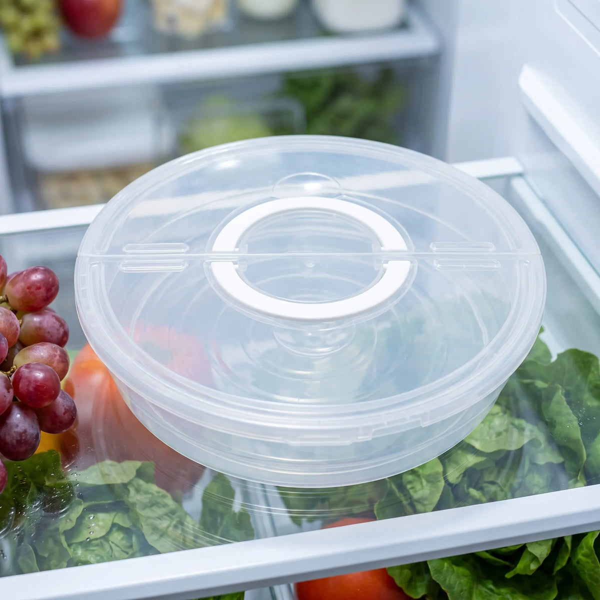 Transparent 2-Compartment Pizza & Cake Storage Container Food Storage Container SWANS