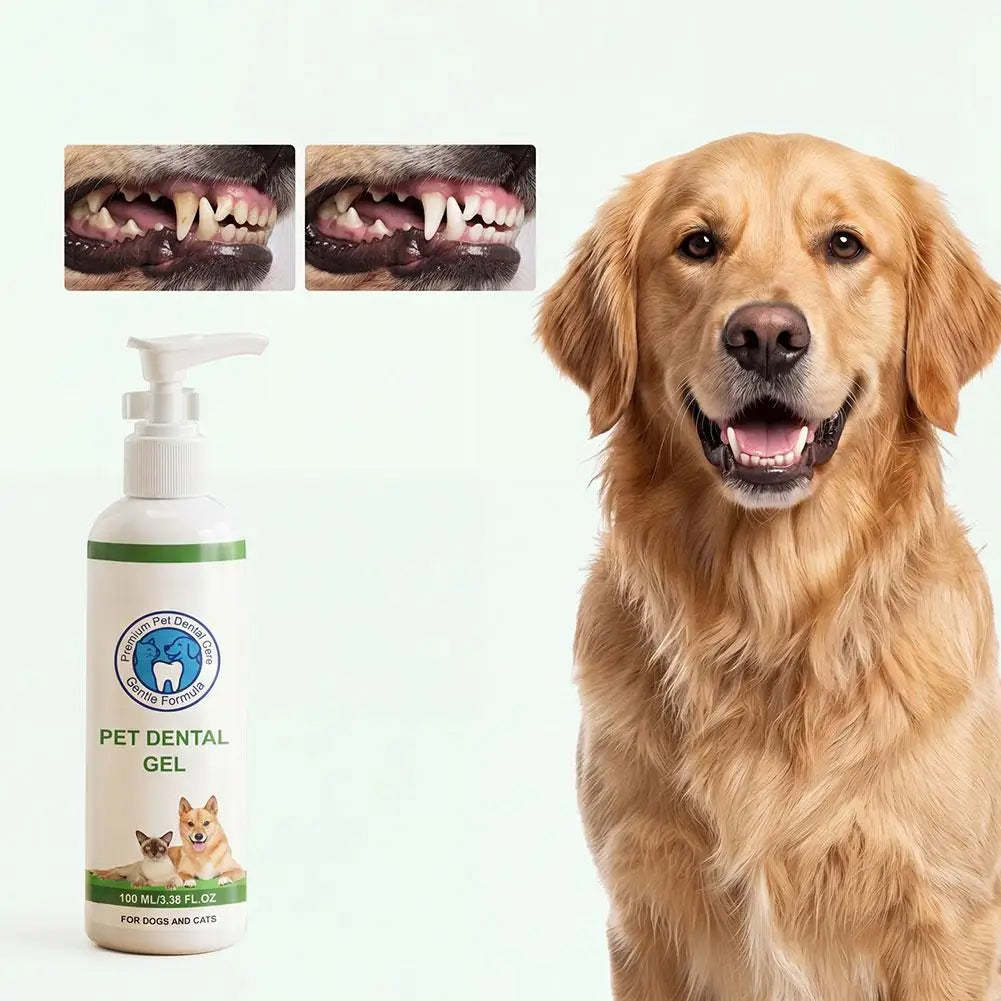SWANS Pet Dental Gel 100ml – Plaque & Tartar Remover for Dogs & Cats Pet Dental Gel SWANS