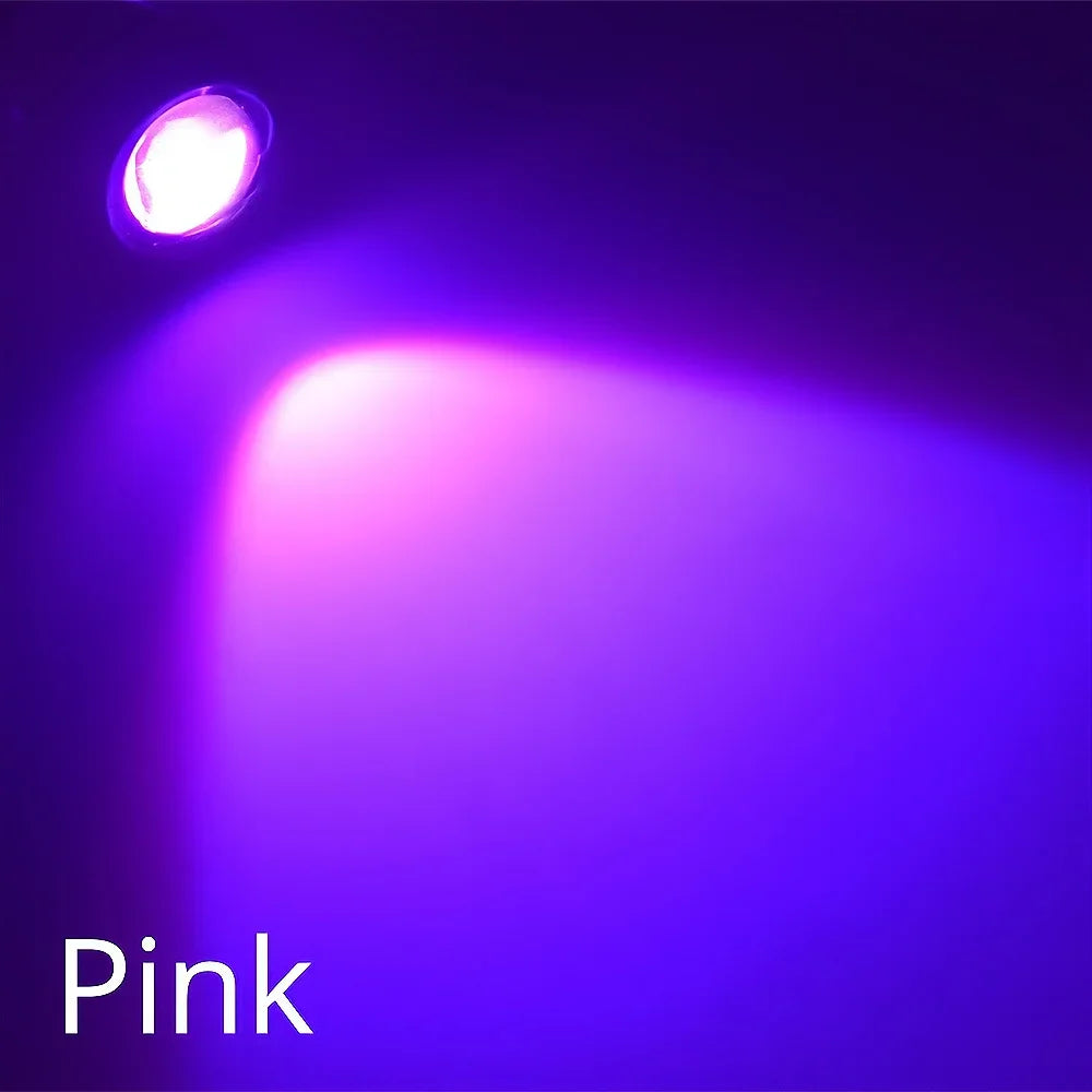 10-Pack 18mm Eagle Eye LED Car Lights 12V IP65 Multicolor DRL Eagle Eye LED Light SWANS Pink Silver Shell