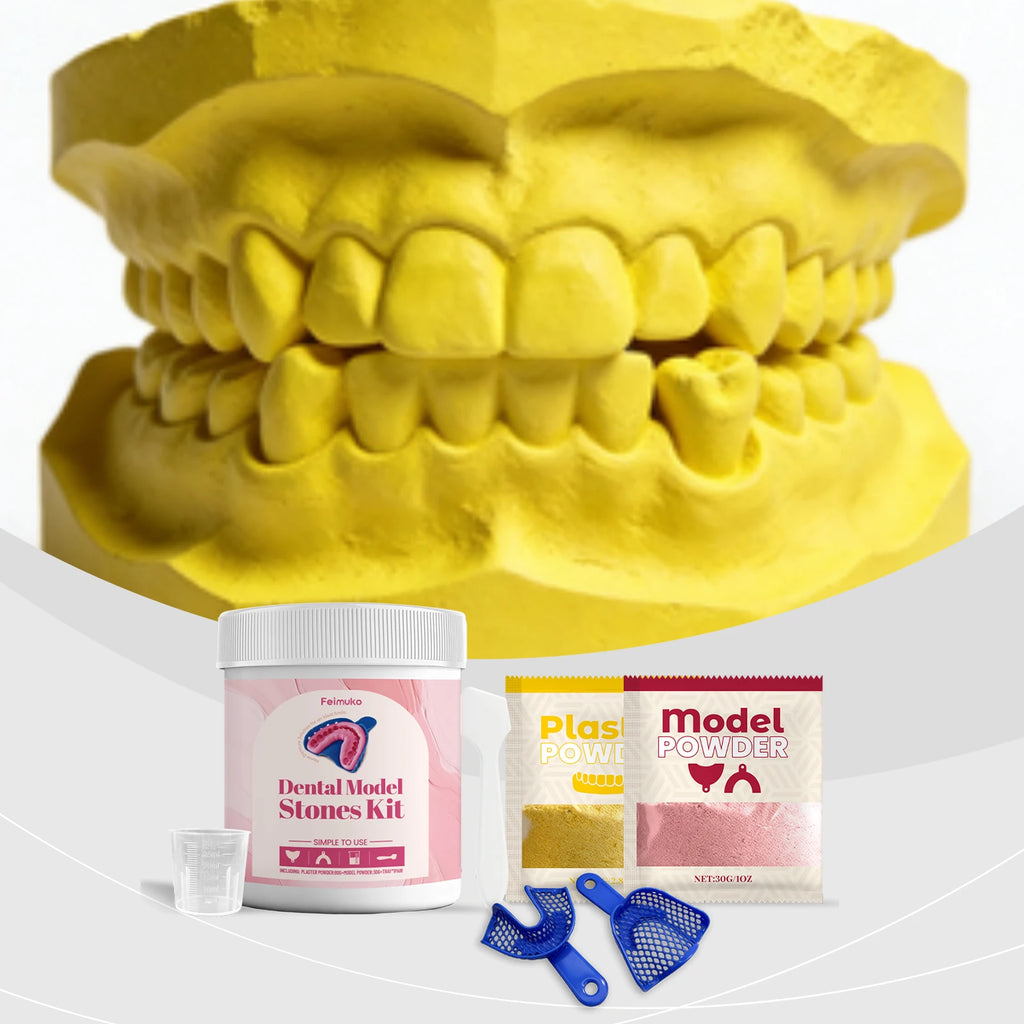 Plaster Tooth Model Kit – DIY Dental Contour Model Set Dental Model Kit SWANS