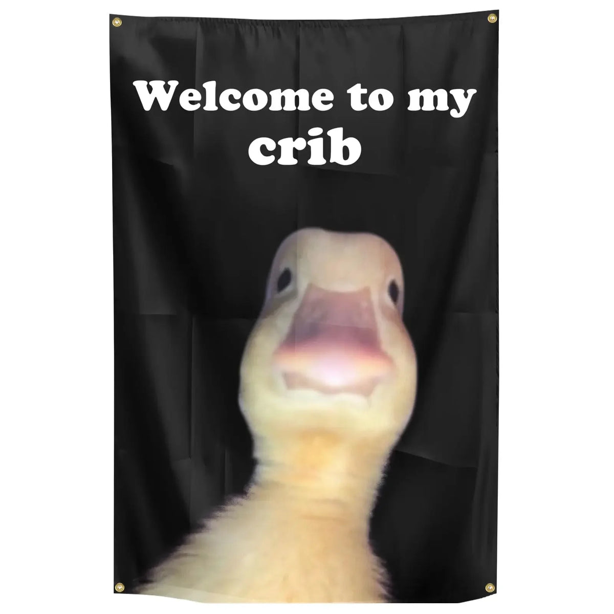 Welcome to My Crib Funny Flag 2x3 Ft – Dorm & Home Decor Decorative Flag SWANS flag 60 x 90cm